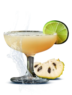 Soursop island margarita